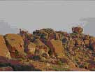 A natural landscape