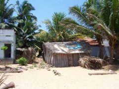 Hutte sur la plage de Rajakamangalamthurai